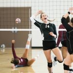 Logiciel de gestion pour club de volleyball - Cotisations, licenciés et tournois en 2026 logiciel gestion club volleyball